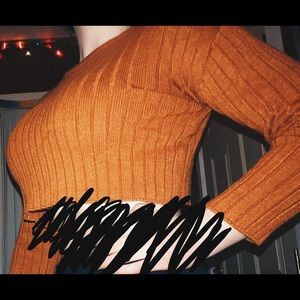 Forever 21 Burnt Orange Cropped Sweater